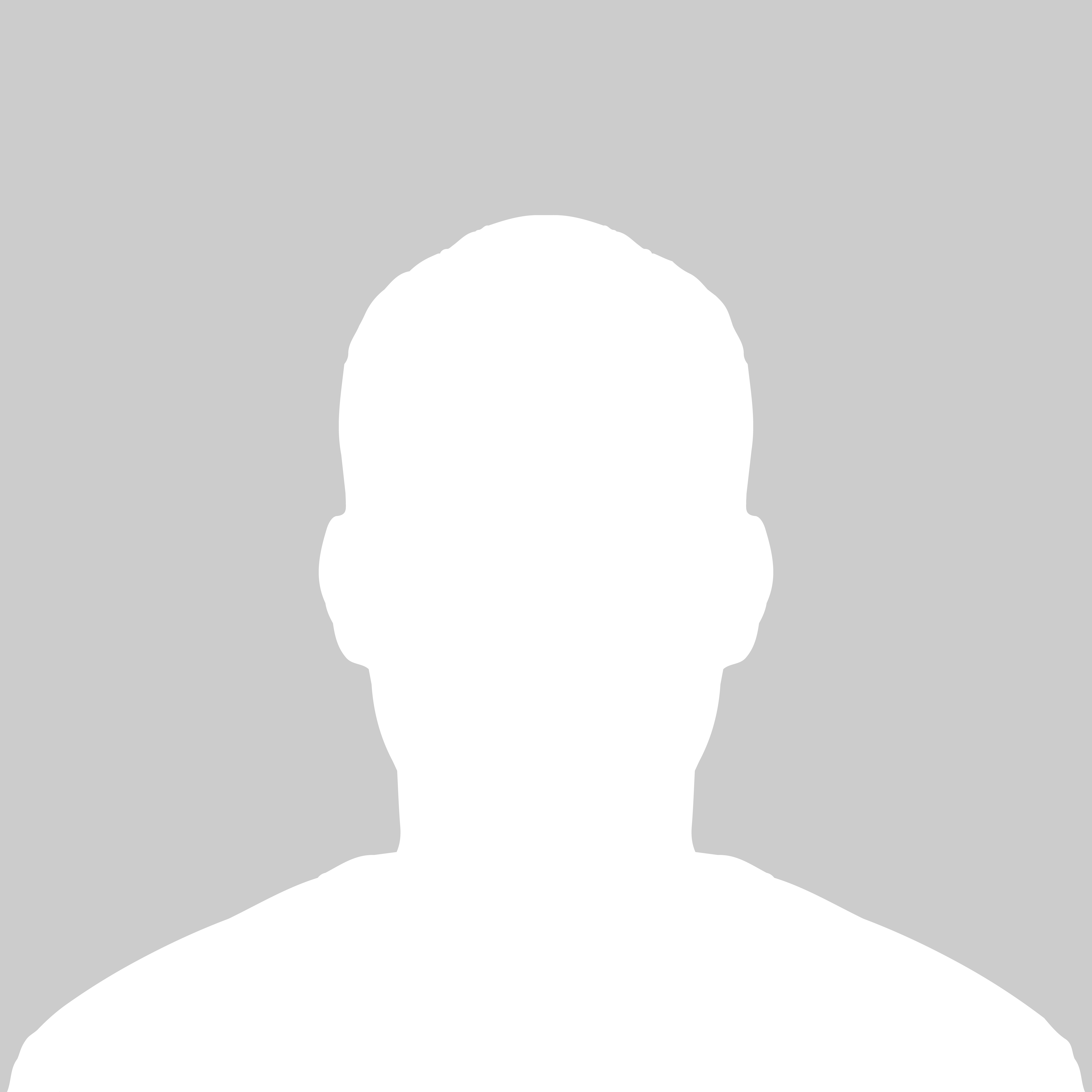 Midlertidig avatar - Christer Granhaug